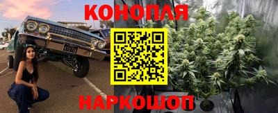 apvp Заводоуковск
