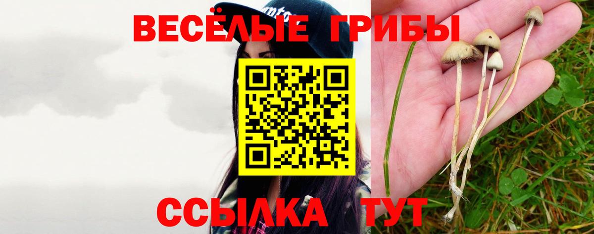 Псилоцибиновые грибы GOLDEN TEACHER  Псилоцибиновые грибы ЛСД  Набережные Челны  Вход с VPN 